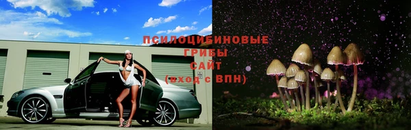 mdma Снежногорск