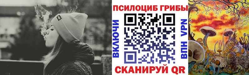 Галлюциногенные грибы Psilocybe  Каргополь 